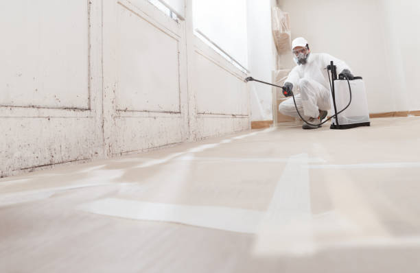 24/7 Emergency Mold Removal experts in Cary, IL