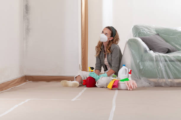 Reliable Mold Removal contractor in Cary, IL by Mold Remediation HQ